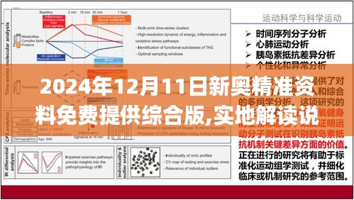 2024新奥精选免费资料,实地分析解释定义_V284.707