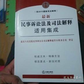 最新民诉解释深度解读与应用展望概览